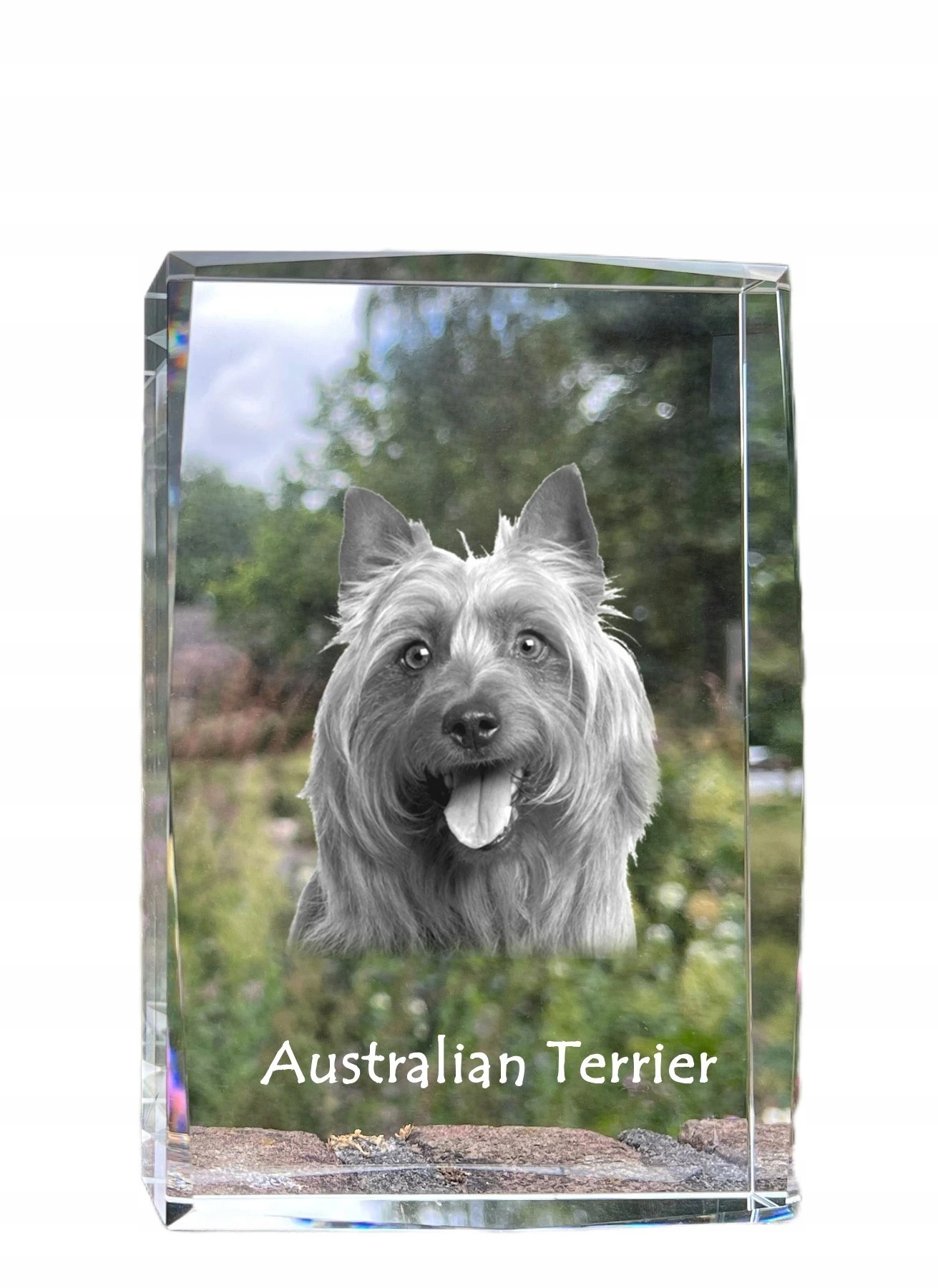 Terier australijski, Aussie kryształ ze zdjęciem psa, zdjęcie w szkle, no