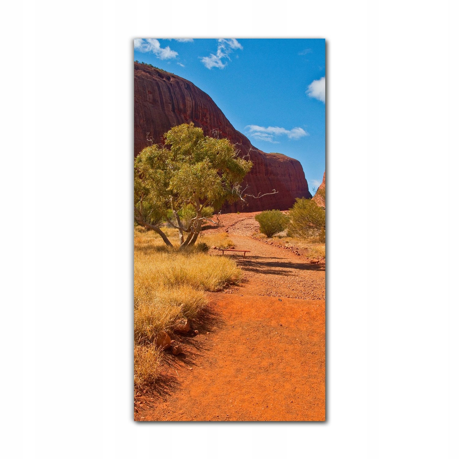 

Foto szklane ścienne 60x120 Australijska pustynia