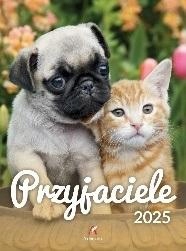 KALENDARZ 2025 WIELOPLANSZOWY B4 PRZYJACIELE