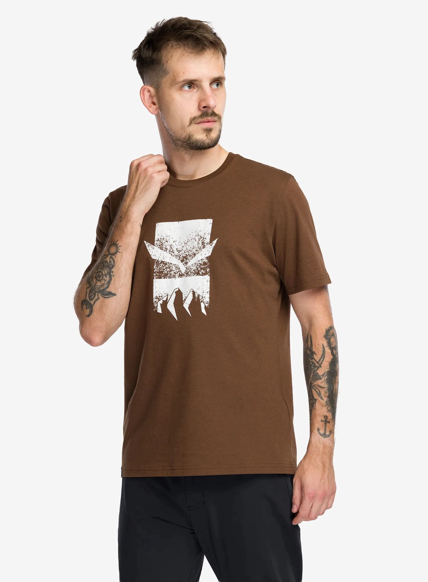 Koszulka bawełniana Salewa Eagle 3Cime T-Shirt earth brown M