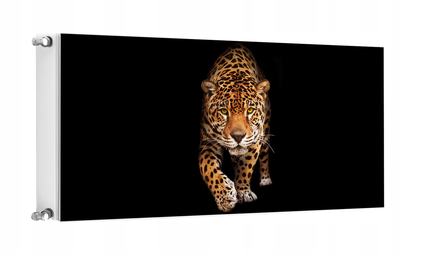 Magnet Magnetická Krytka Na Radiátor 120x60 Kočka Fototapeta