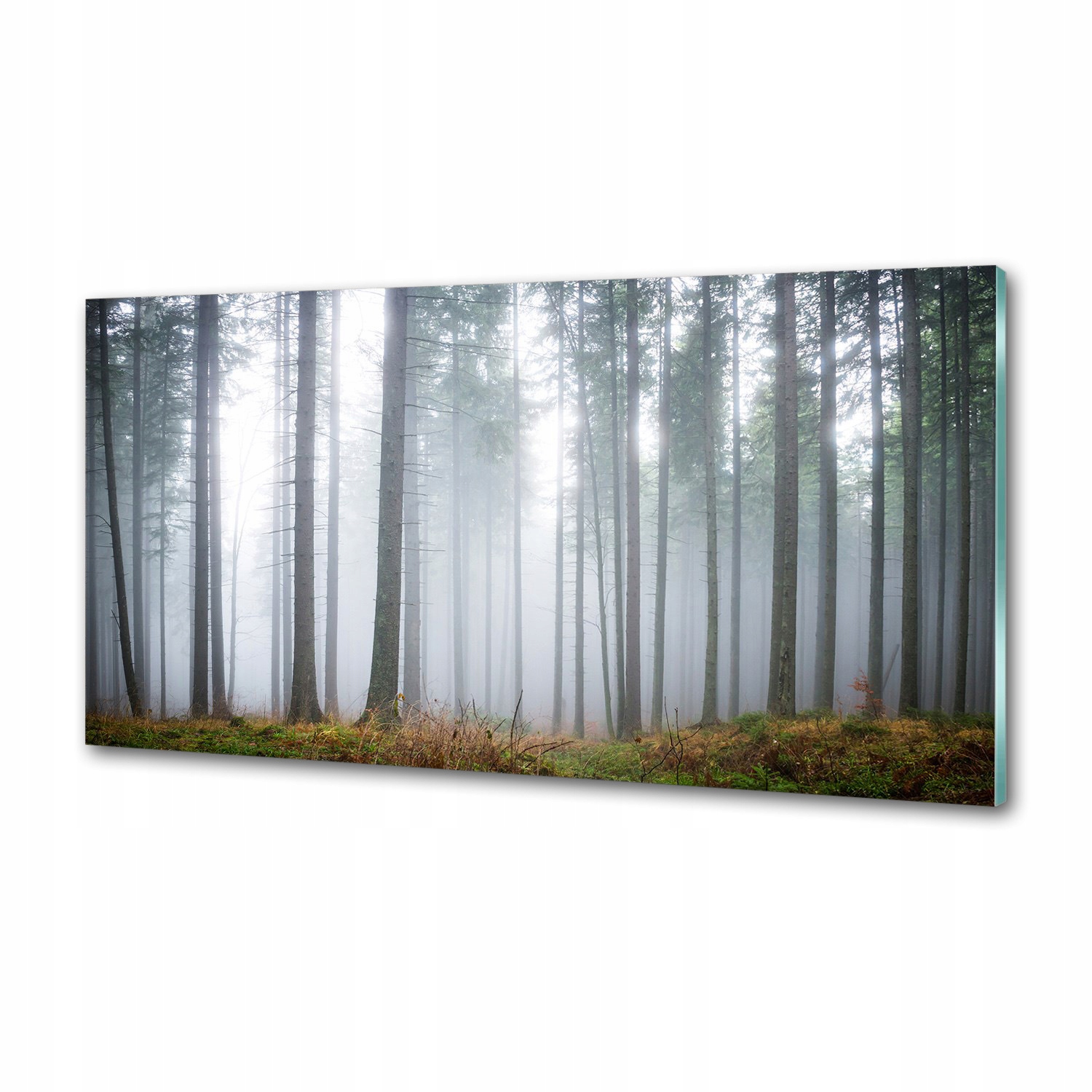 Panel dekor sklo Hmla v lese 100x50 cm Lepidlo