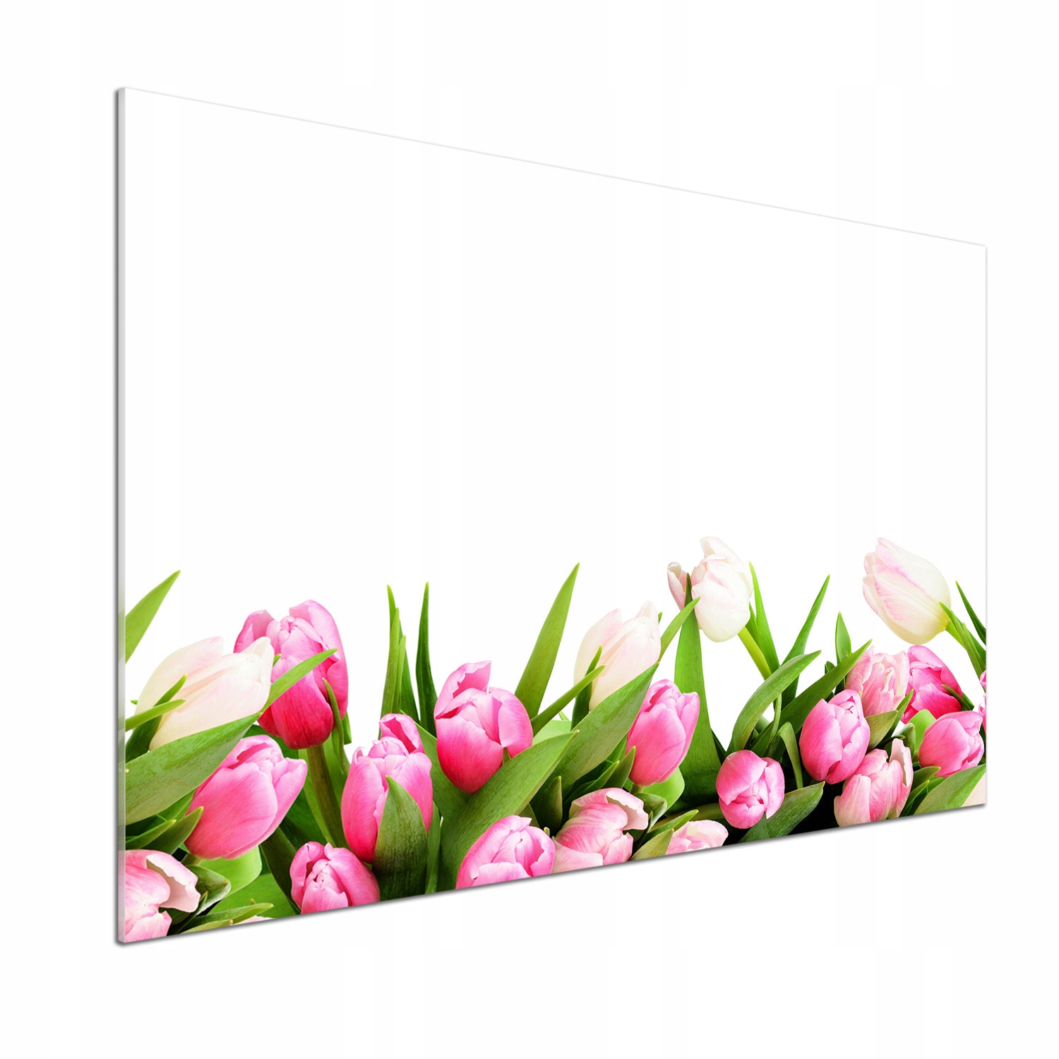 Panel do kuchyně Růžové tulipány 100 x 70 cm Lepidlo