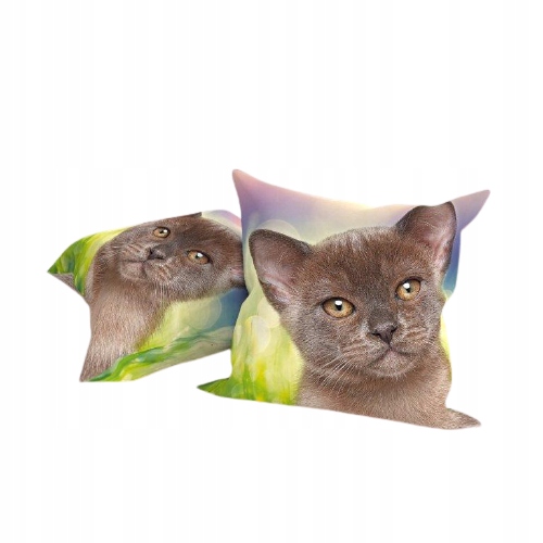 

Poszewka Na Poduszkę 45X45 Kot Kotek