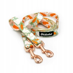 Vodítko pro psa Dlouhá přepínací tlapa králíčka Psiakrew 220 cm