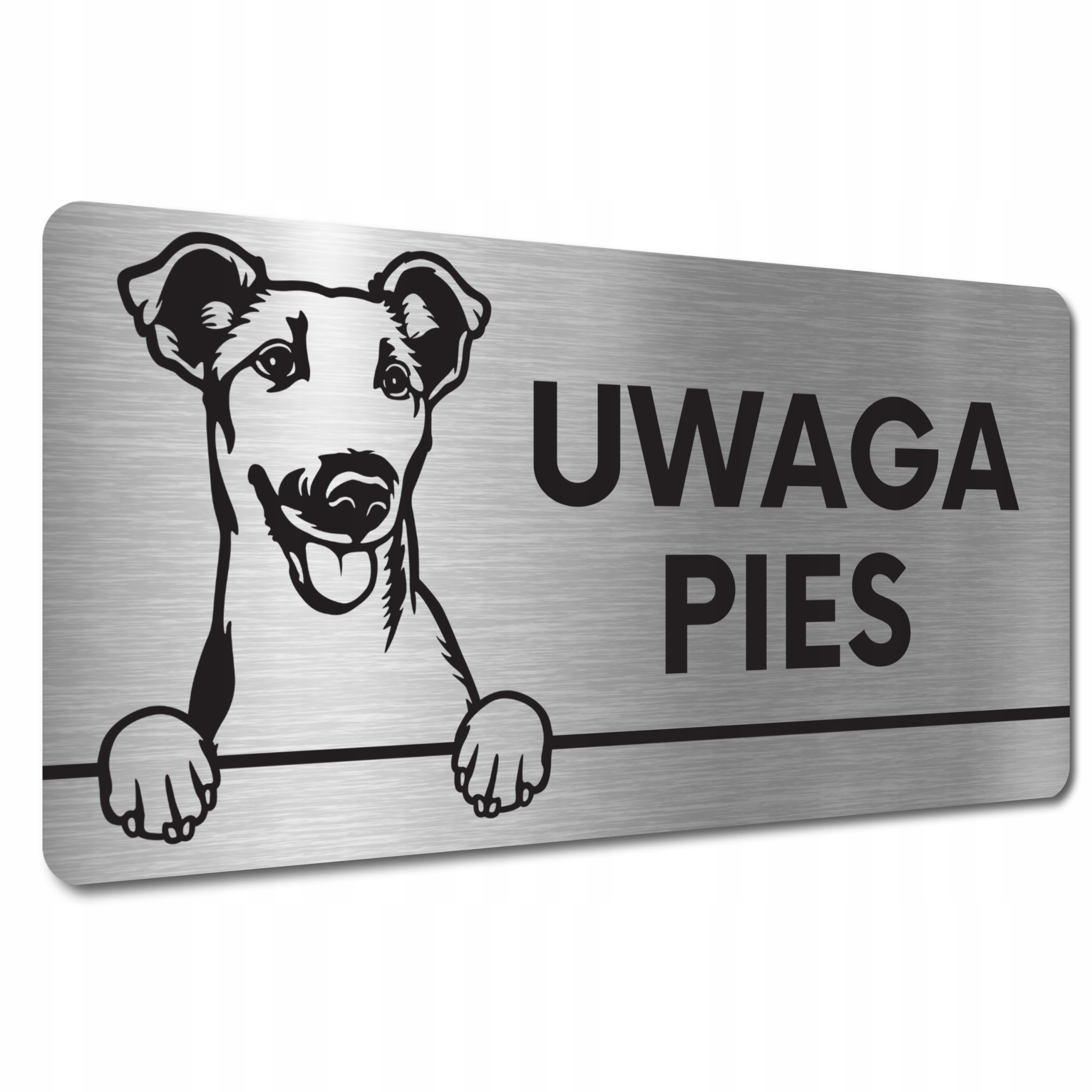 

Tabliczka Uwaga Pies Zły Foksterier krótkowłosy