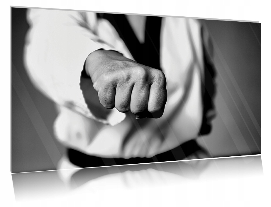 

Obraz szklany na szkle Karate 02 30x20