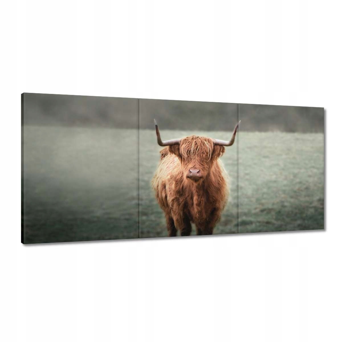 Obrazy 210x100 Ako s rohmi Horská lúka