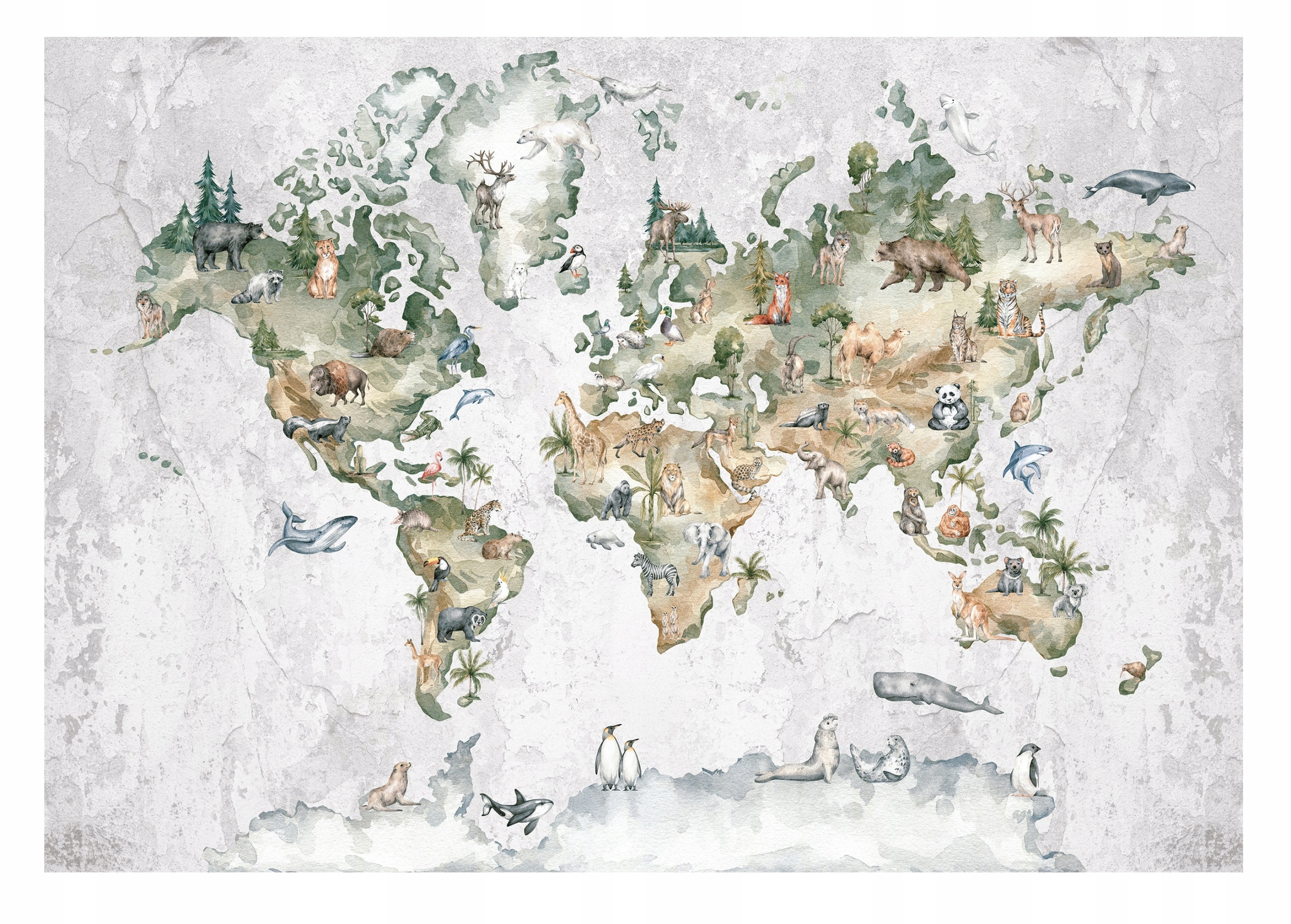 

Fototapeta Mapa Świata Dziecięca Zwierzęta 368x254