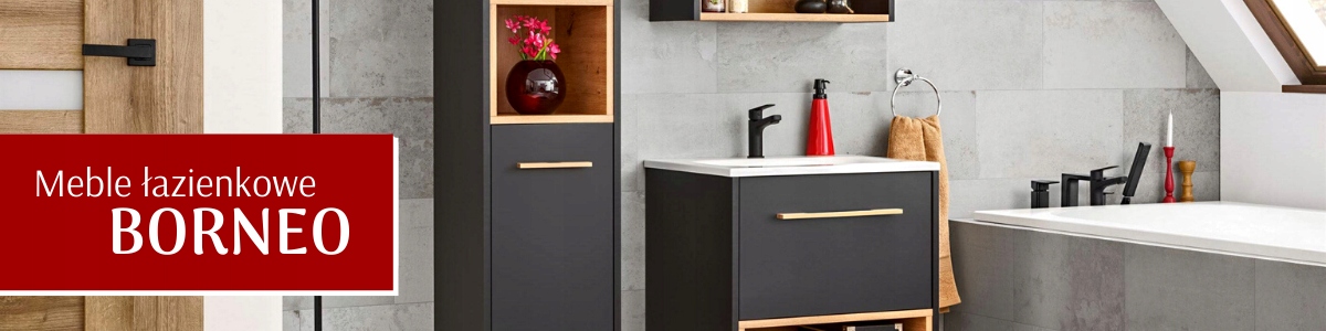 Szafka łazienkowa BORNEO COSMOS 845 z lustrem 100 Kolor frontów inny kolor