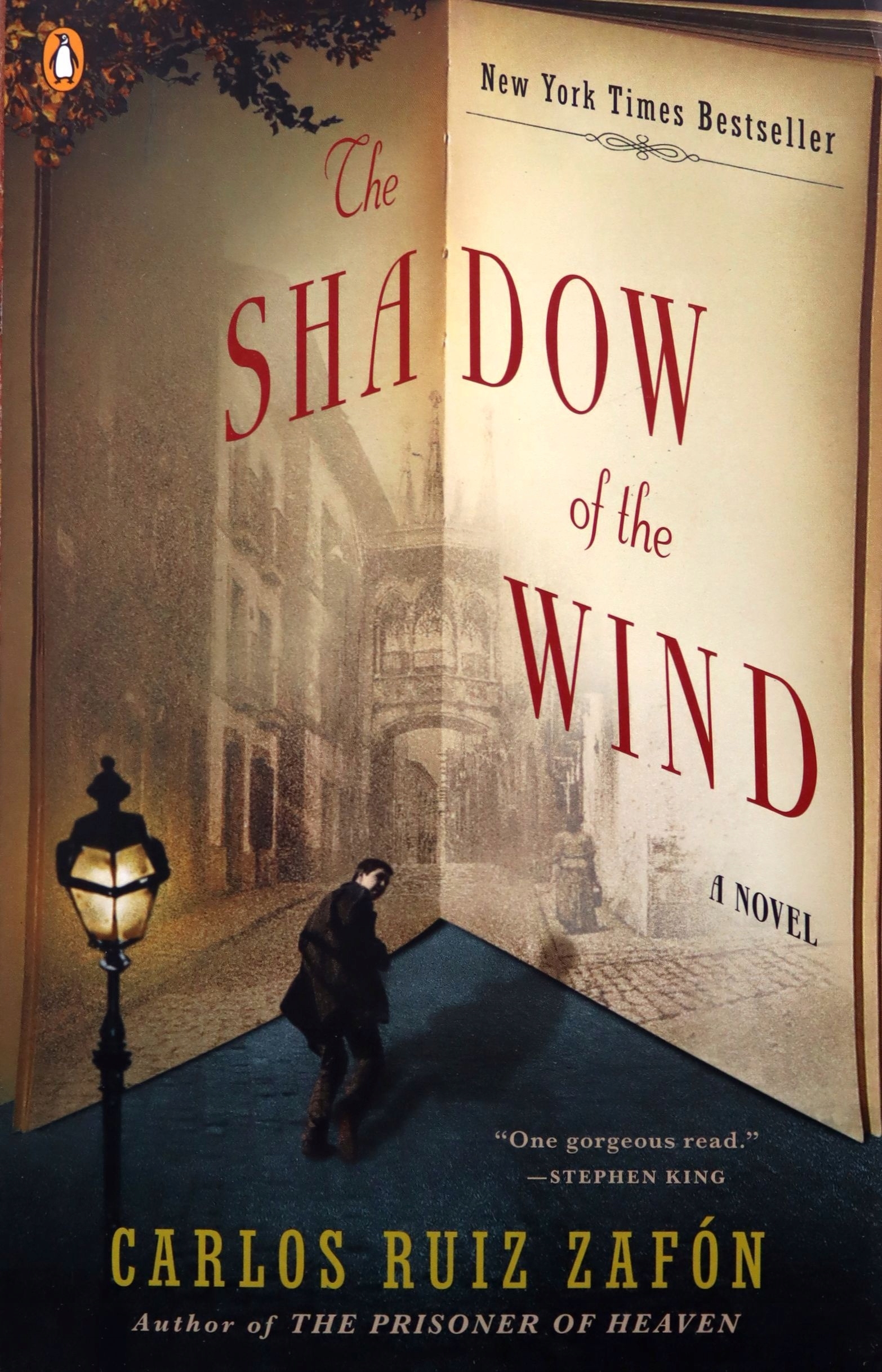 

The Shadow Of The Wind Carlos Ruiz Zafon Książka