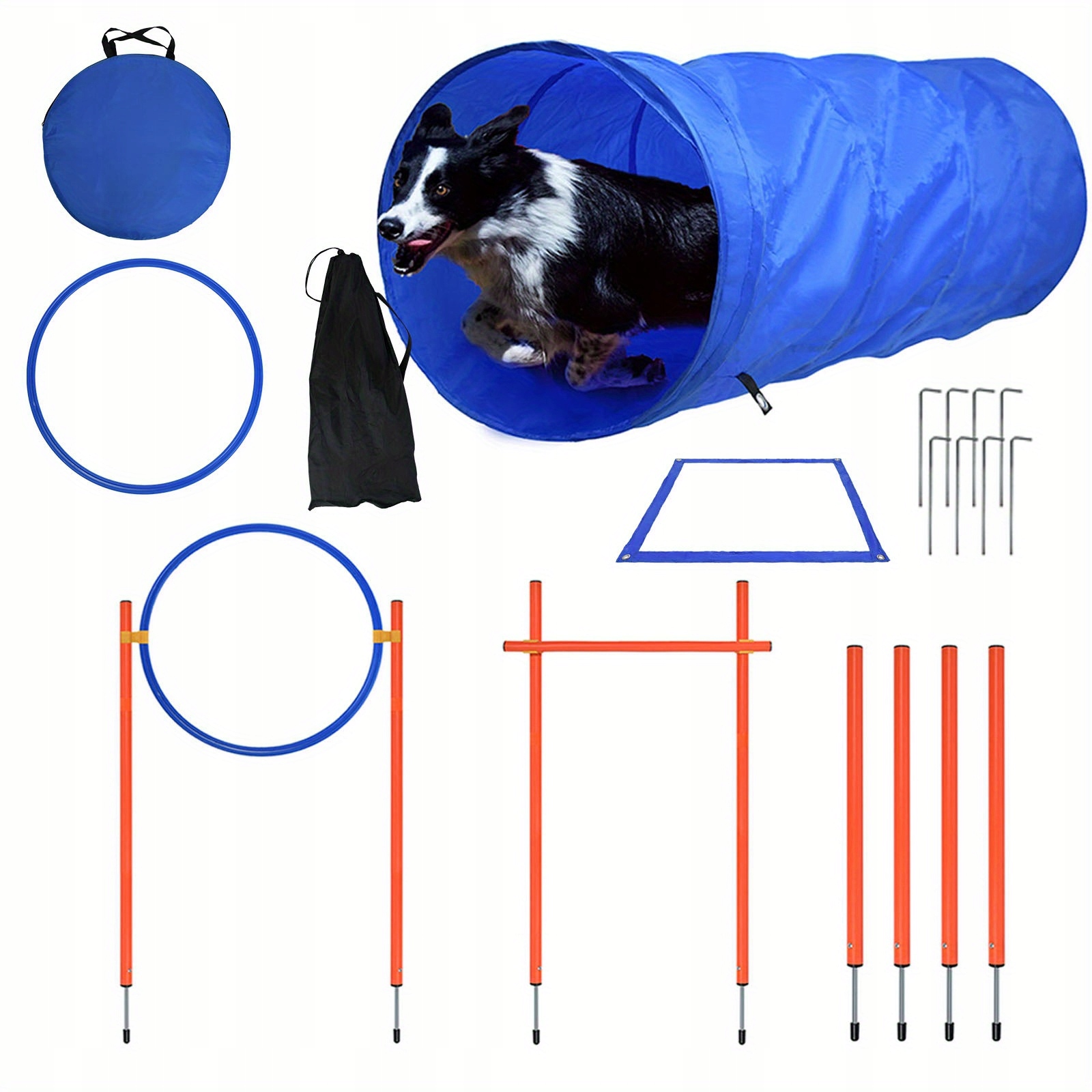 Sada na agility pro psy modrá