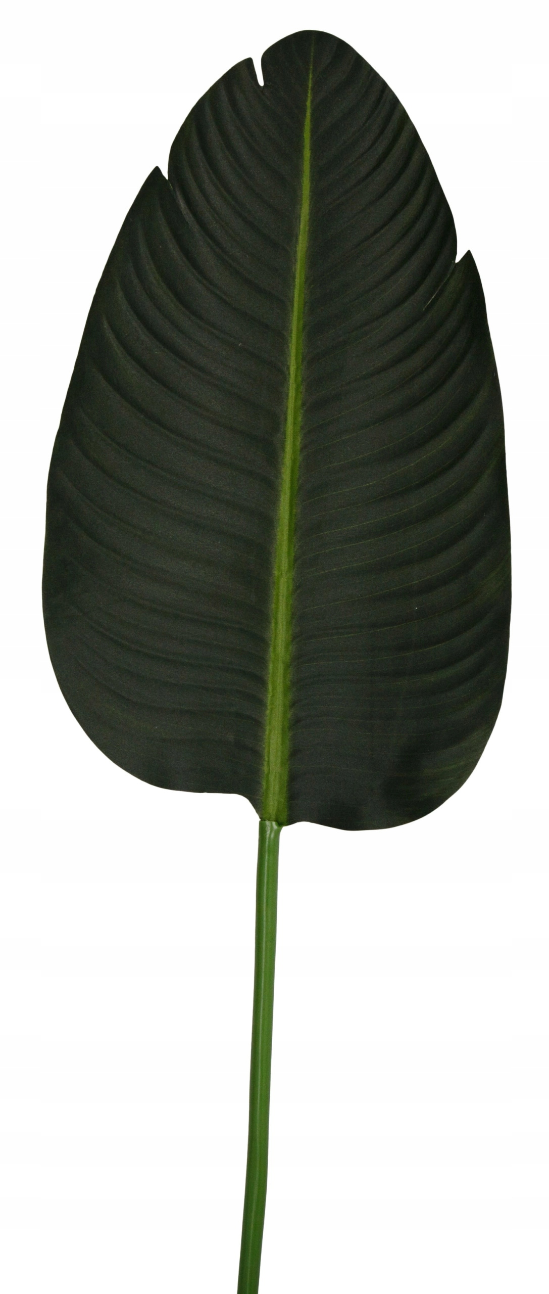 LIŚĆ SZTUCZNY STRELICJA 91 CM