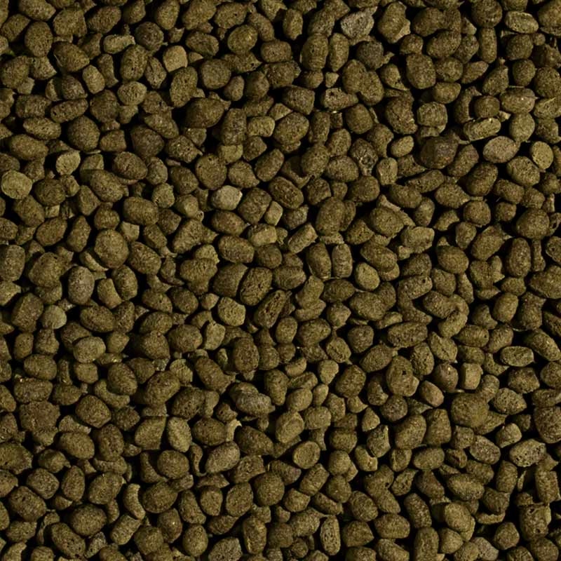 TROPICAL KOI SPIRULINA PELLET L spirulina 7kg Postać granulat
