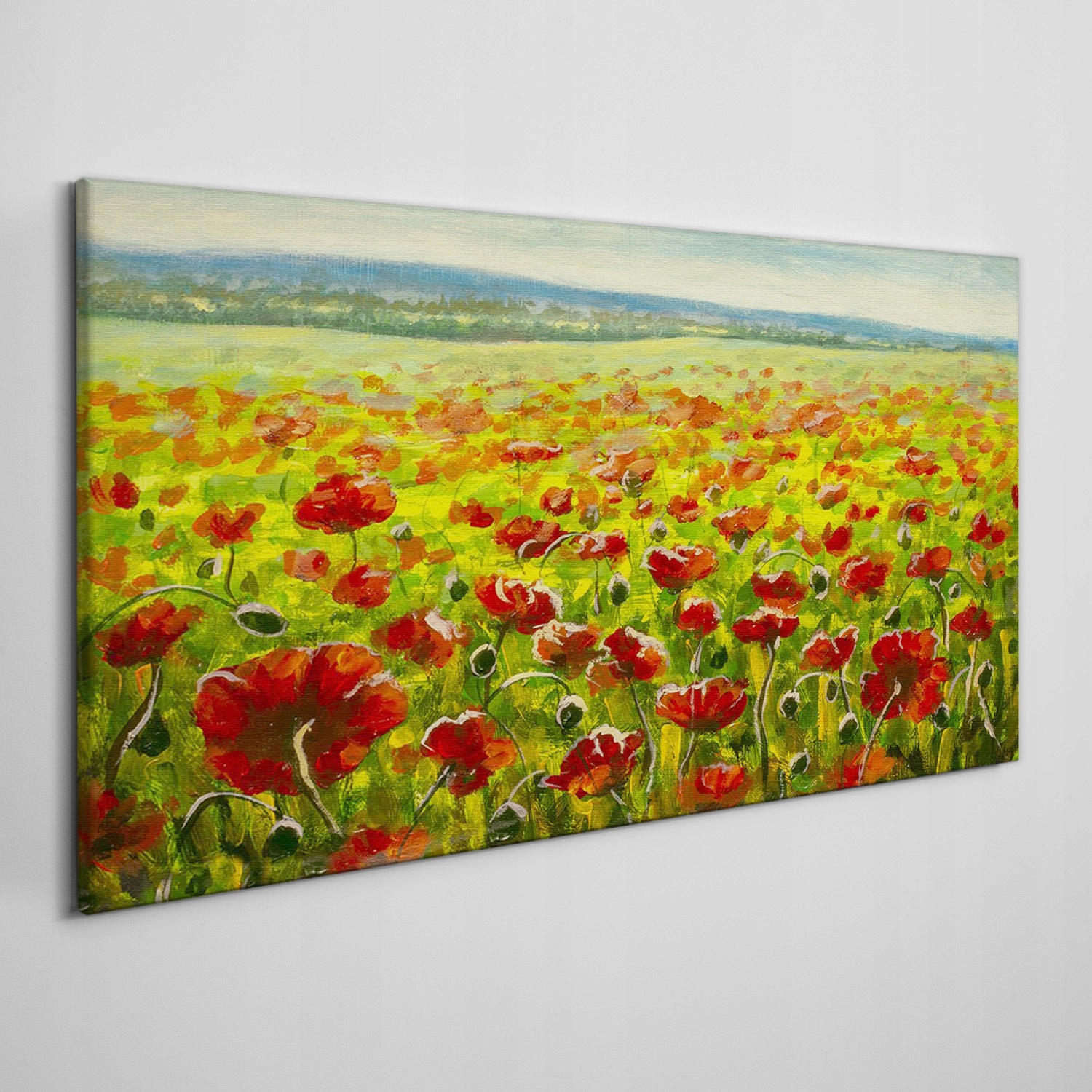 

Obraz na płótnie Malarstwo kwiaty łąka maki 120x60