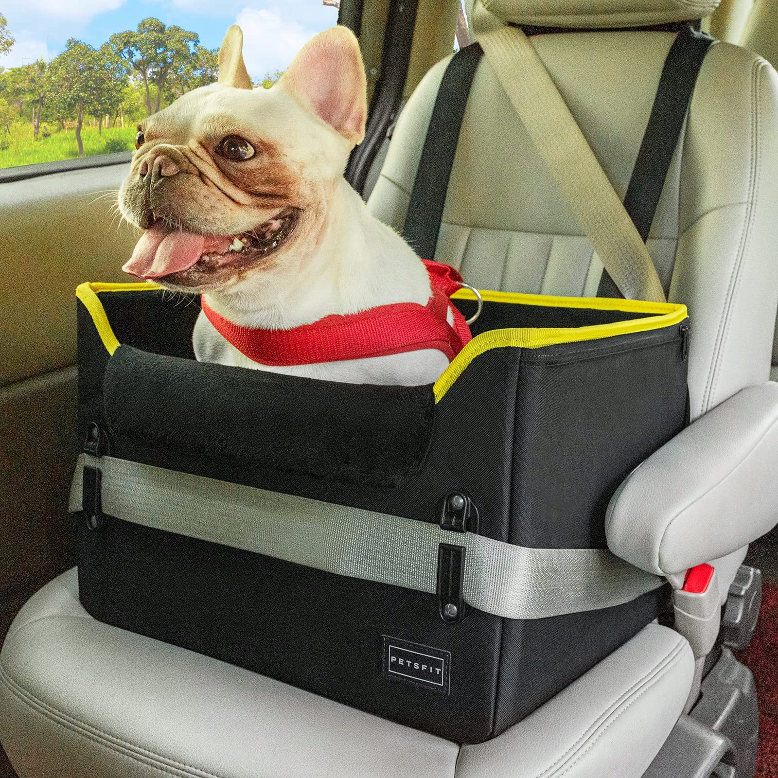 PETSFIT Fotelik Samochodowy Dla Małych Psów Z Paskiem I Poduszką — miniatura 2