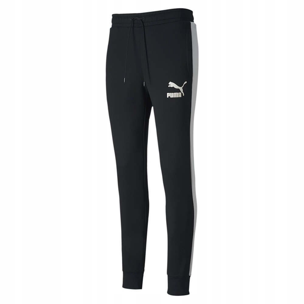 

Spodnie męskie sportowe Puma Iconic [595287 01]