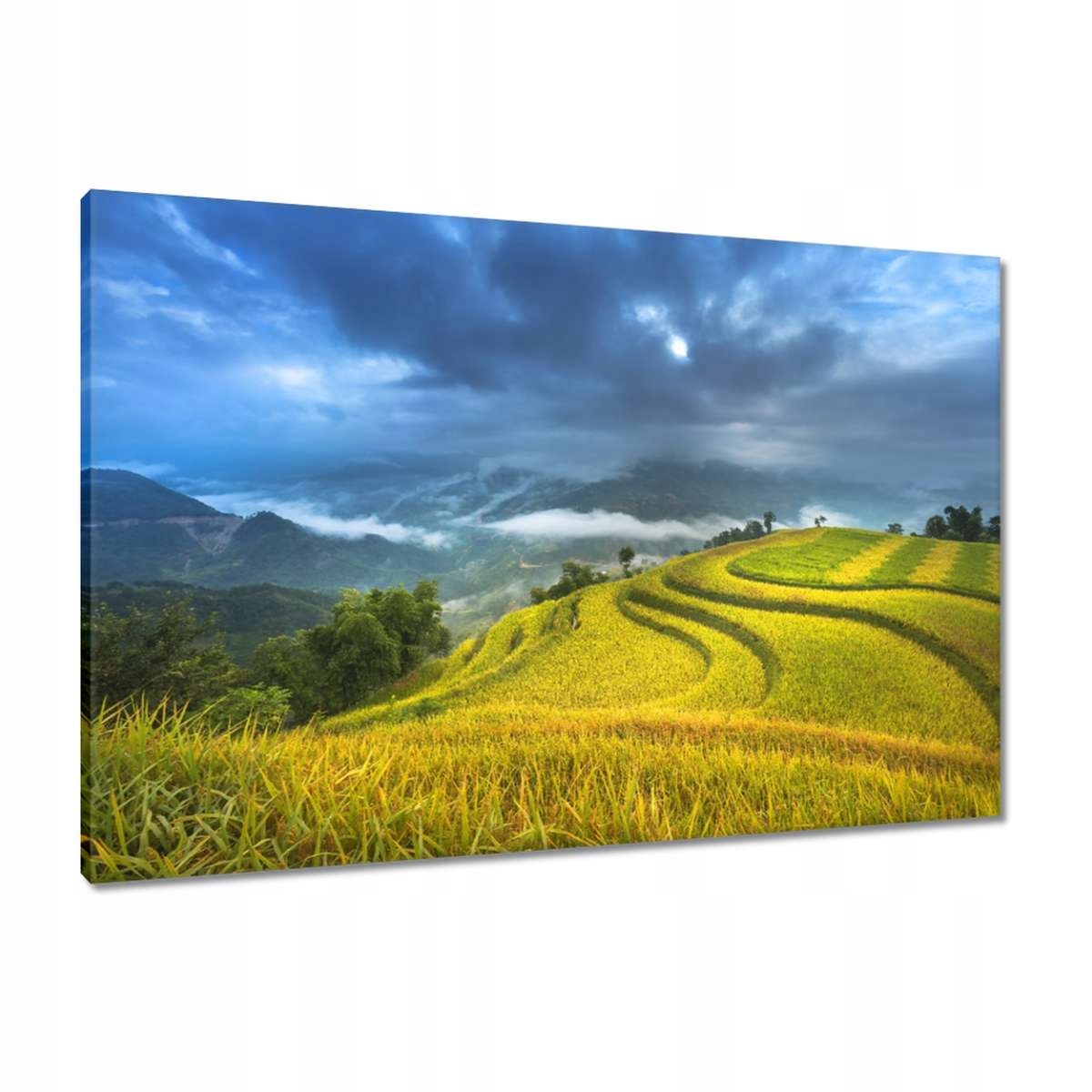 Obrazy 90x60 Pohled Krajina