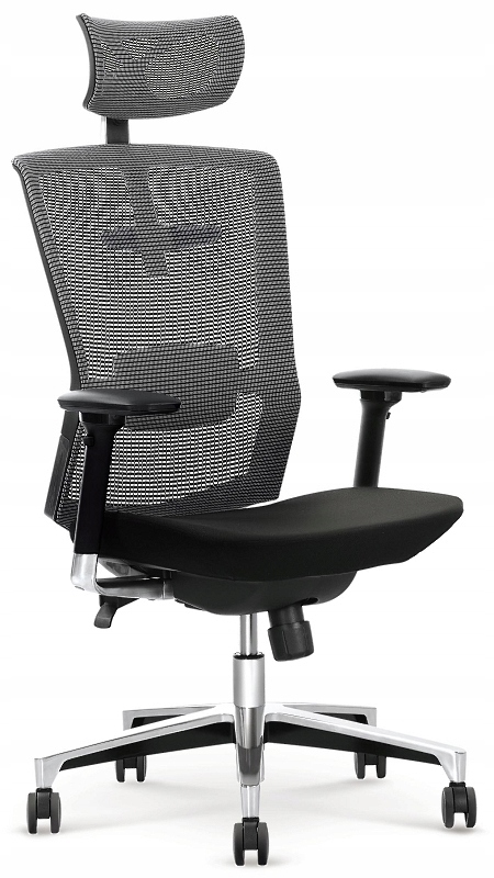 Fotel obrotowy ergonomiczny Ambasador multiblock