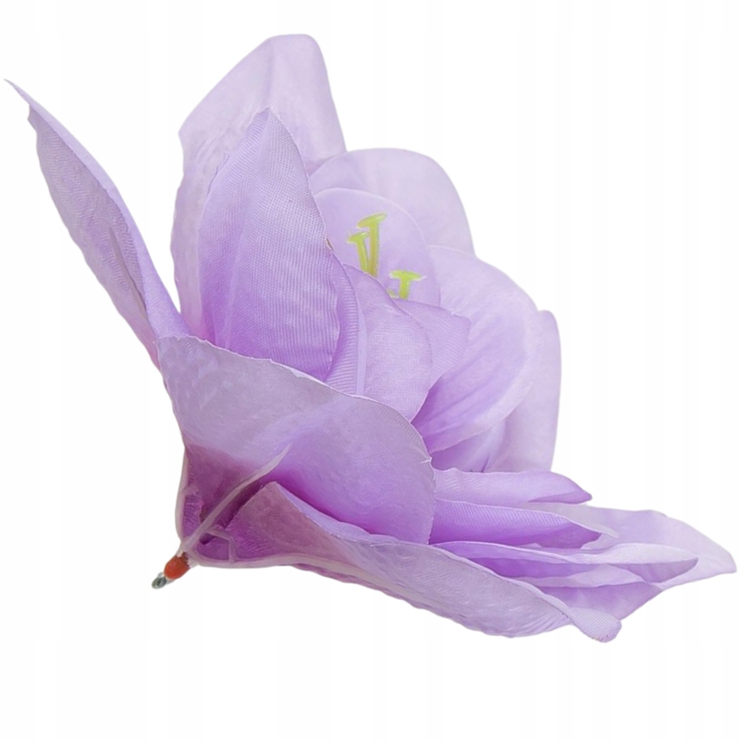 

Główka kwiatowa wyrobowa clivia 15-16cm wrzosowa