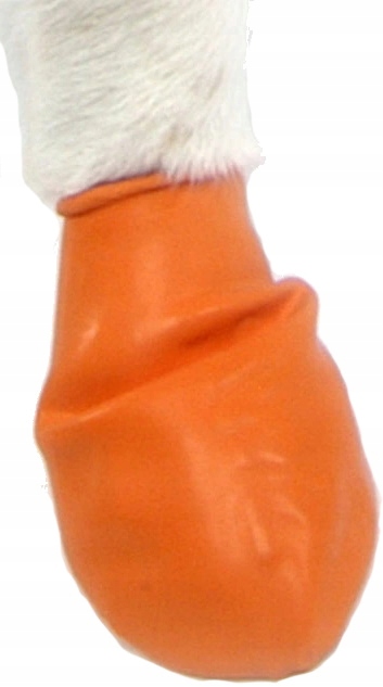 

Pawz - obuwie gumowe, Buty dla psa rozmiar Xs 1szt