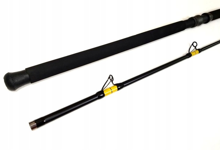 Wędka sumowa CAT FISH PASSION PRO 3 m C.W. 300-600G Marka FL