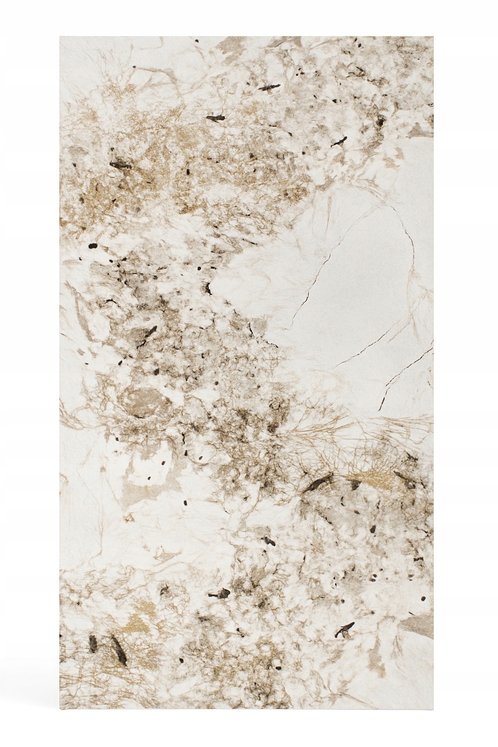 Płyta ścienna węglowa PCV, SPC panel ścienny 280x122 cm PATAGONIA Połysk