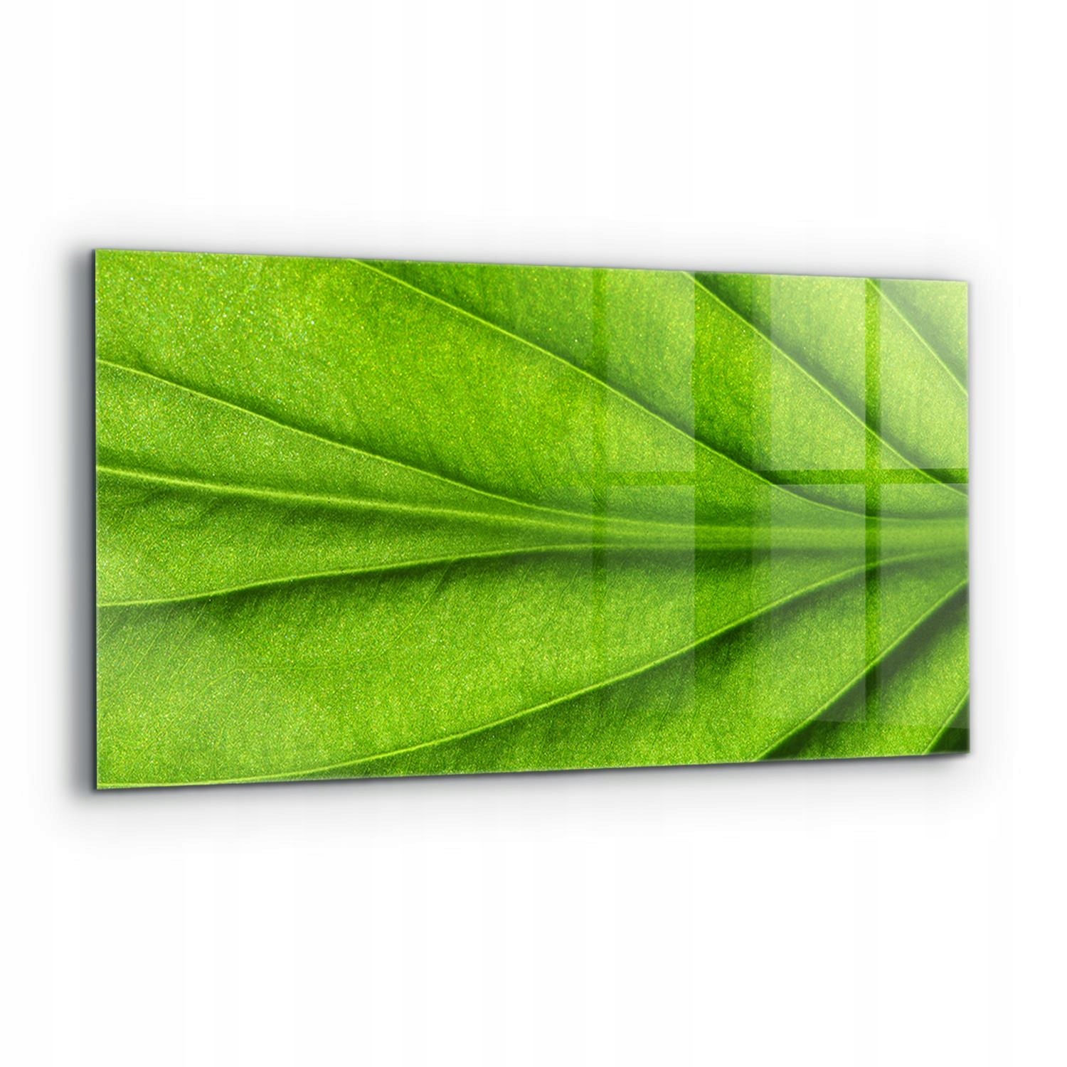 Nástenný panel Detaily zeleného listu 120x60 cm