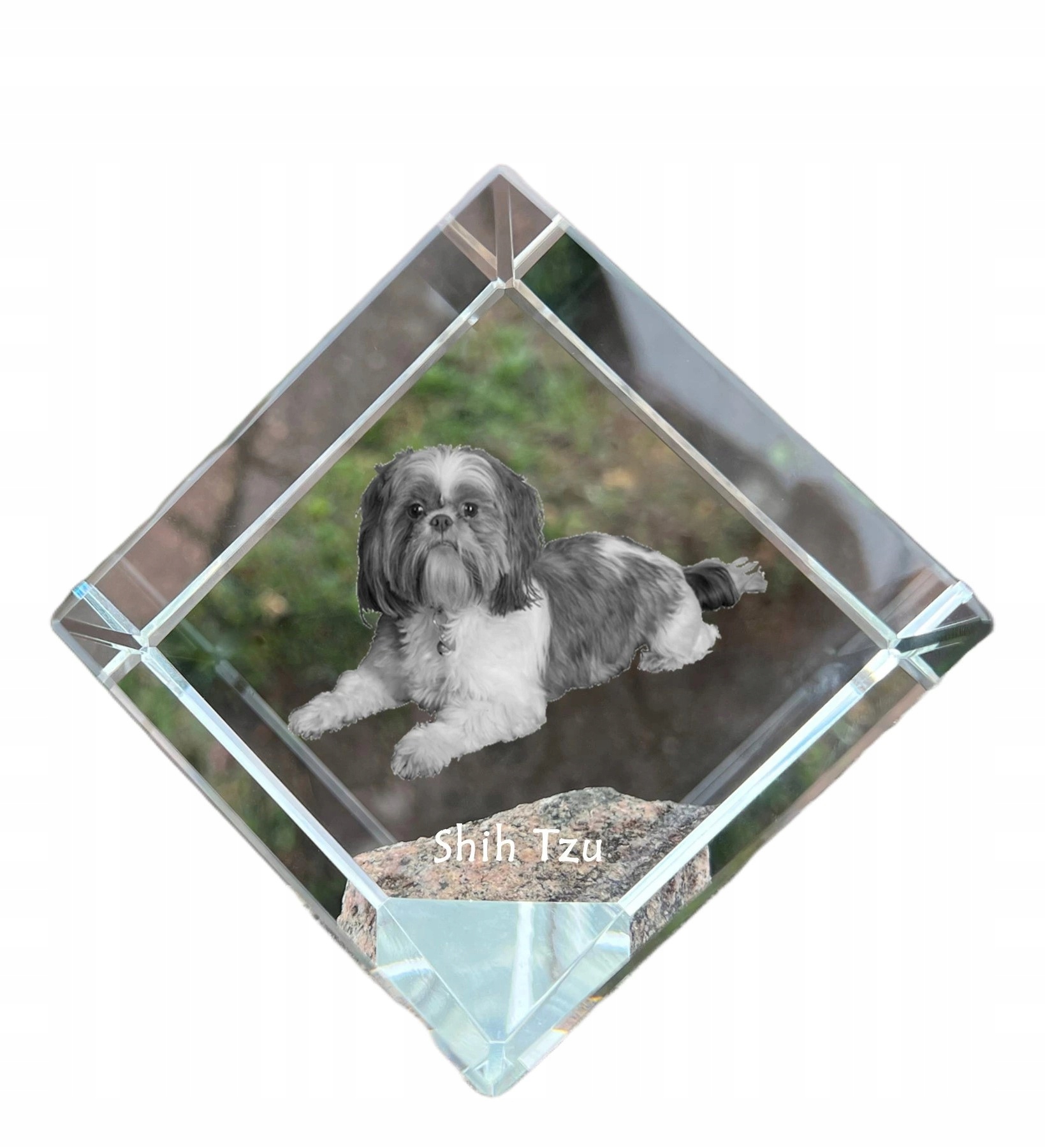 Shih Tzu krištáľová kocka s fotografiou psa, ozdoba na stôl, tlačidlo