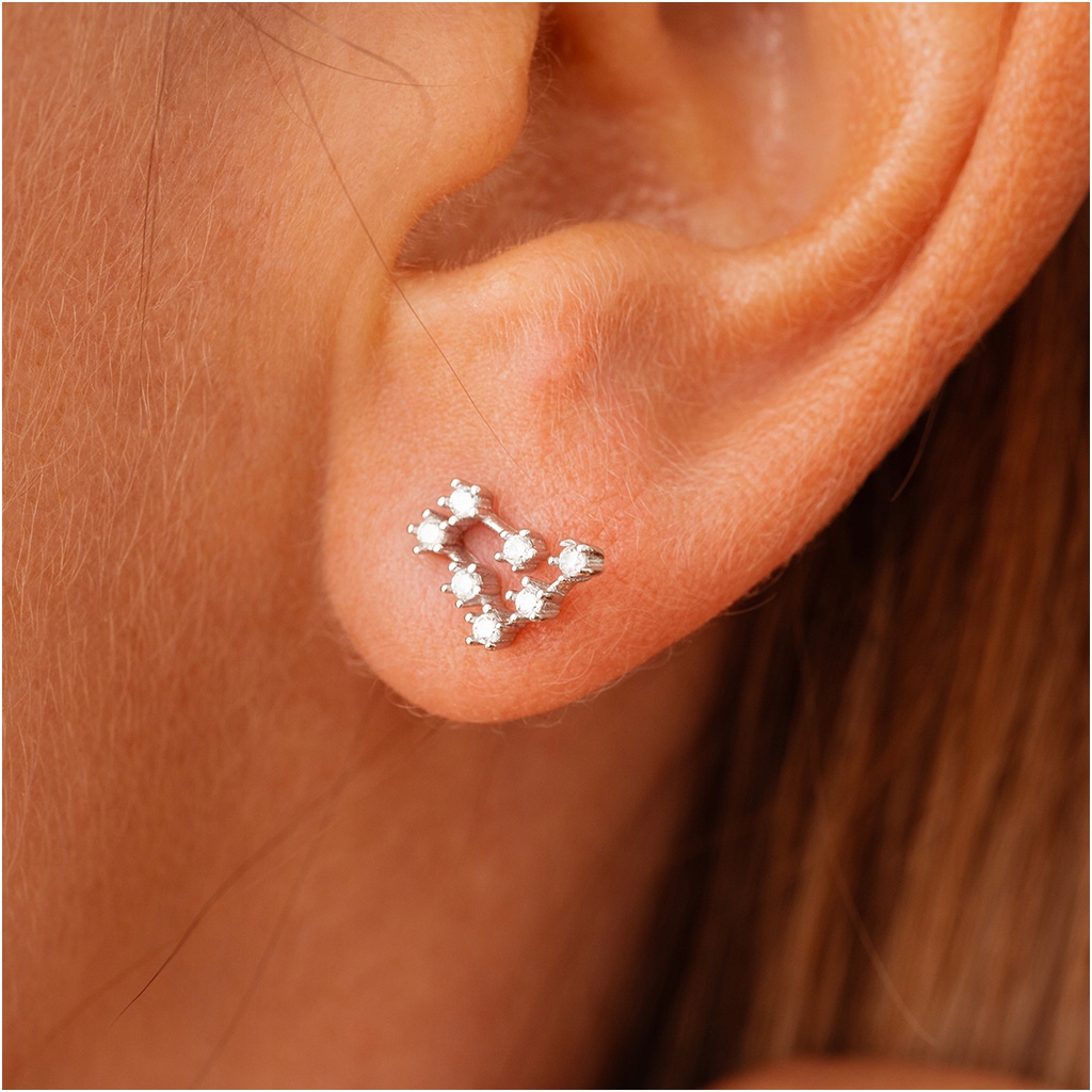 Kolczyki srebrne znak zodiaku KOZIOROŻEC 925 Kolekcja kolczyki wkrętki