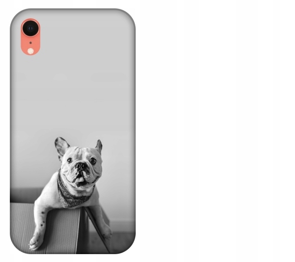 

Etui pokrowiec iPhone Xr Pies buldog francuski