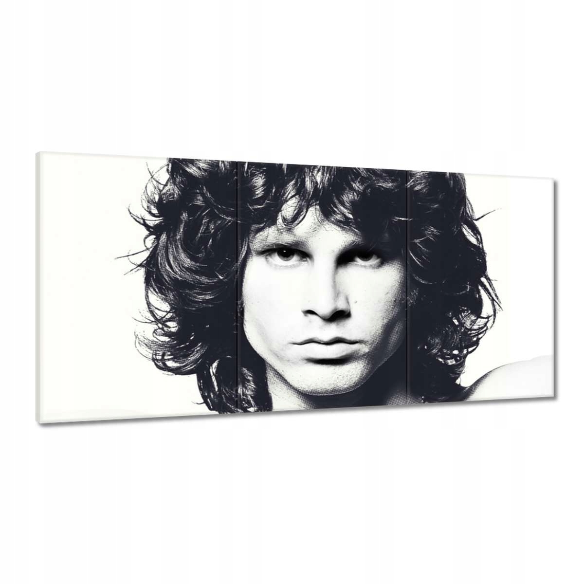 Obrazy 180x90 Spevák The Doors