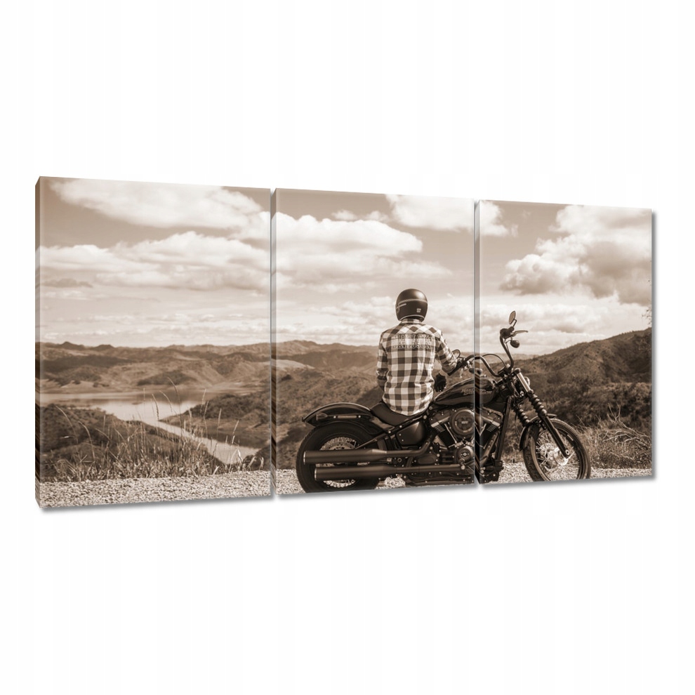 

Obrazy 120x60 Harley Davidson Motocykl
