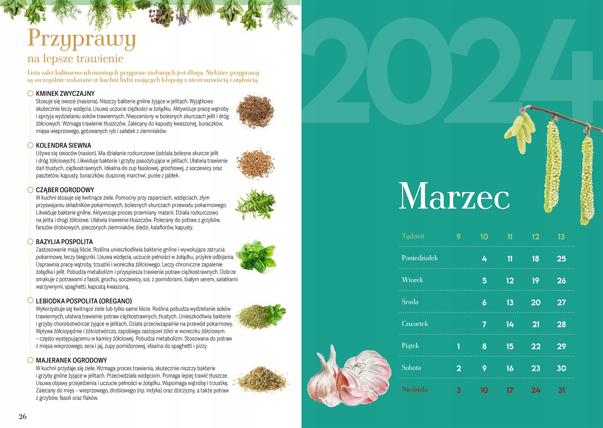 ZDROWIE NA CAŁY ROK KALENDARZ 2024 Zbigniew T. Nowak defekt Wydawnictwo MediaCom Press