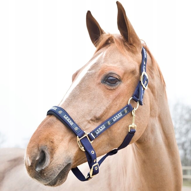 Horze, Kantar Hamptons Pony granatowy