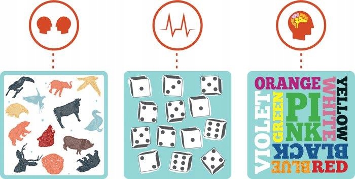 Gra Cortex | Rebel Czas rozgrywki Do 15 minut