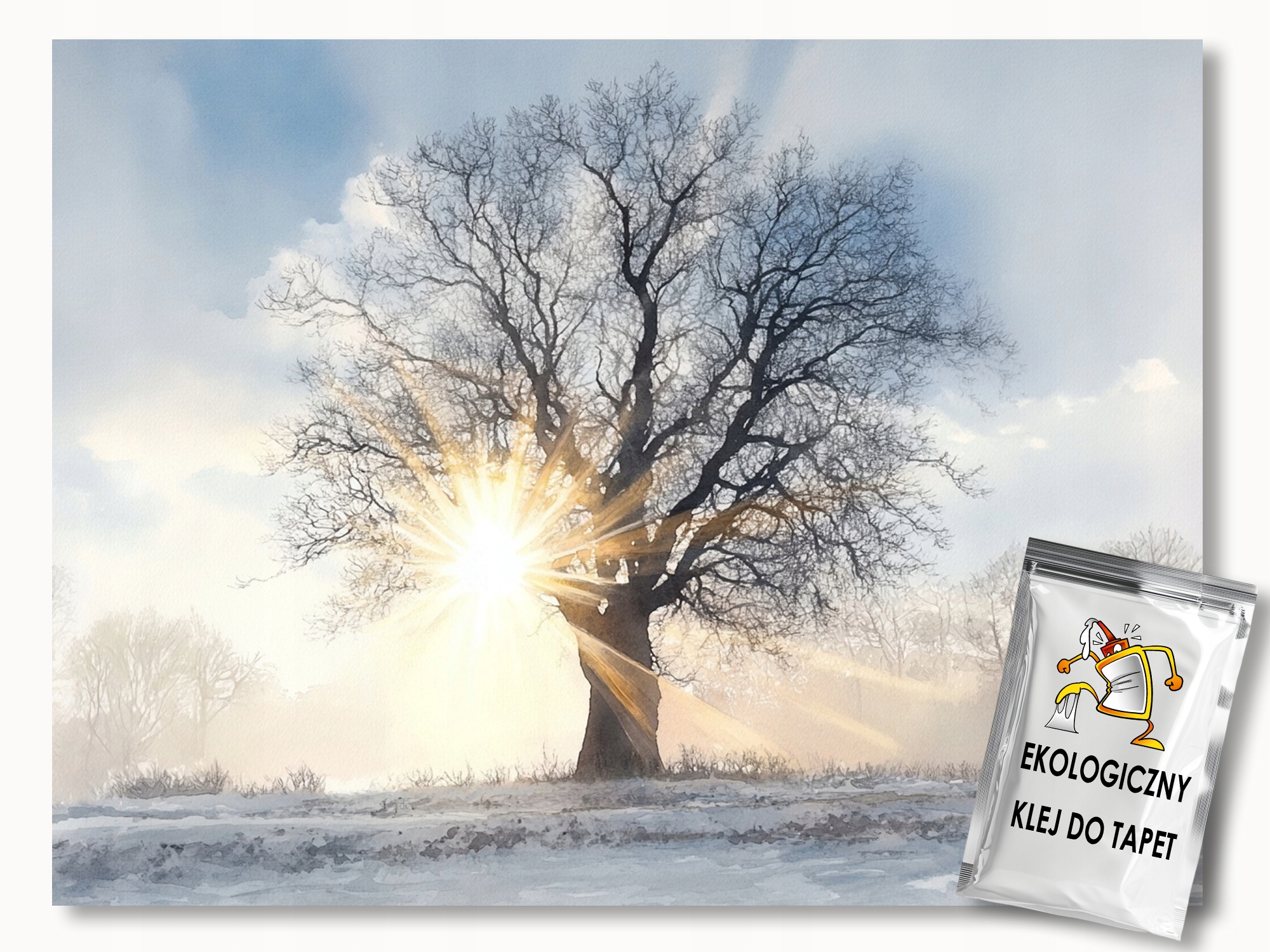 Fototapeta Flizelina Zima Dřevo Sníh Slunce Mráz Ráno 150x105 155g