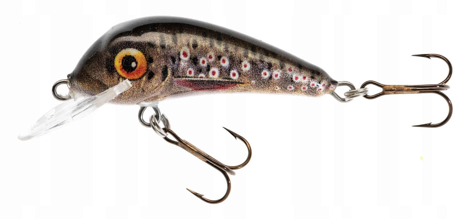 Wobler Jaxon Hs Senso Qm F Eb 5,5cm