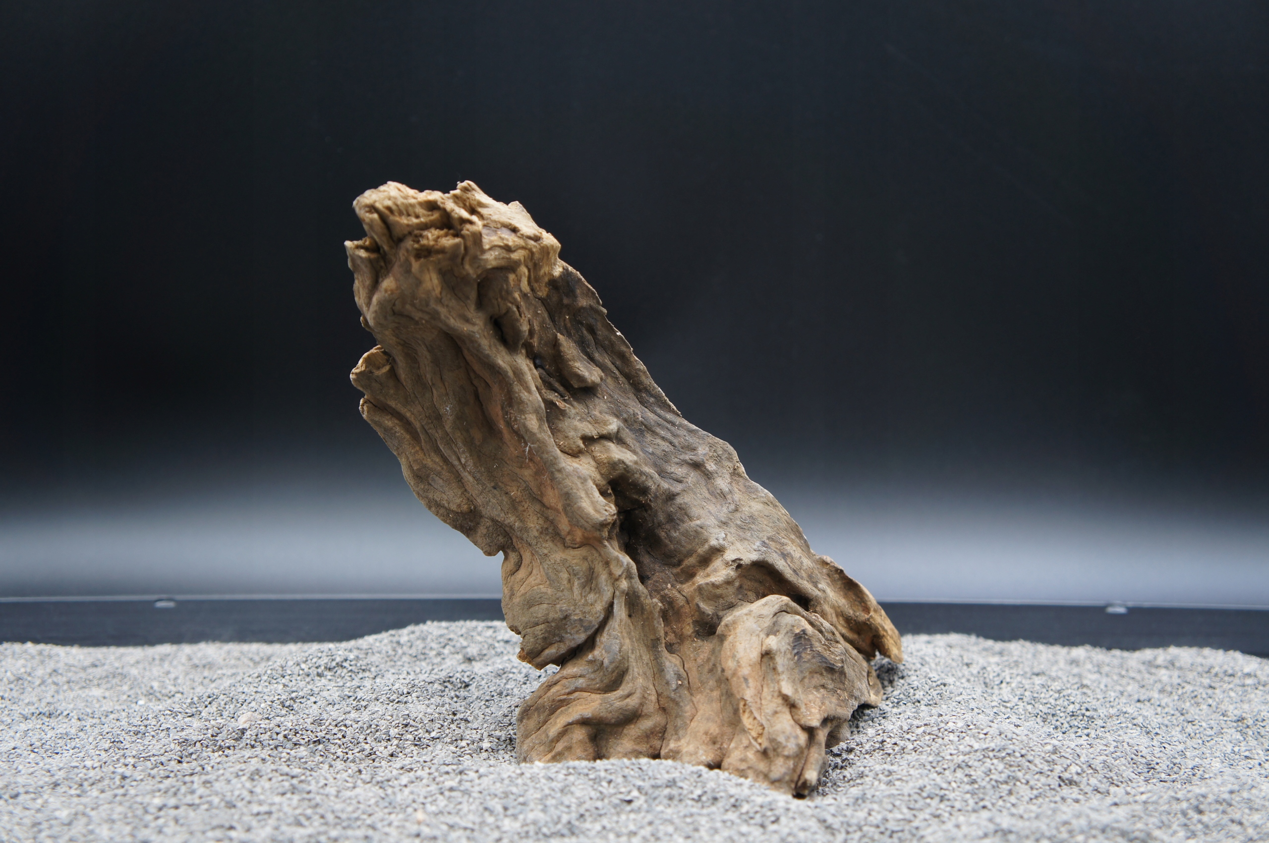 Levně Kořen do terarijního akvária jagged wood 24 cm Ten, Který Je Na Obrázku (J30)