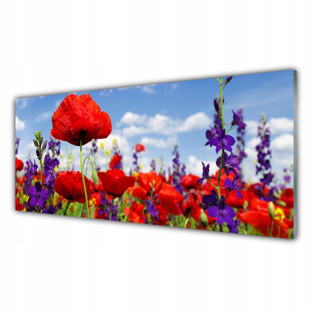 

Obraz akryl z grafiką 125x50 Kwiaty Roślina Natura