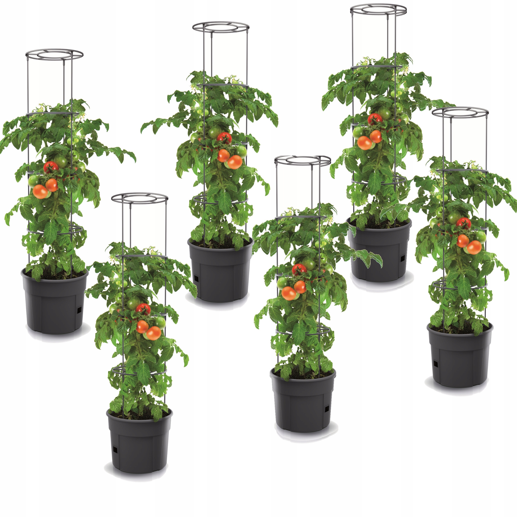 6 x Kvetináč na pestovanie zeleniny, paradajky, uhorky 29 cm