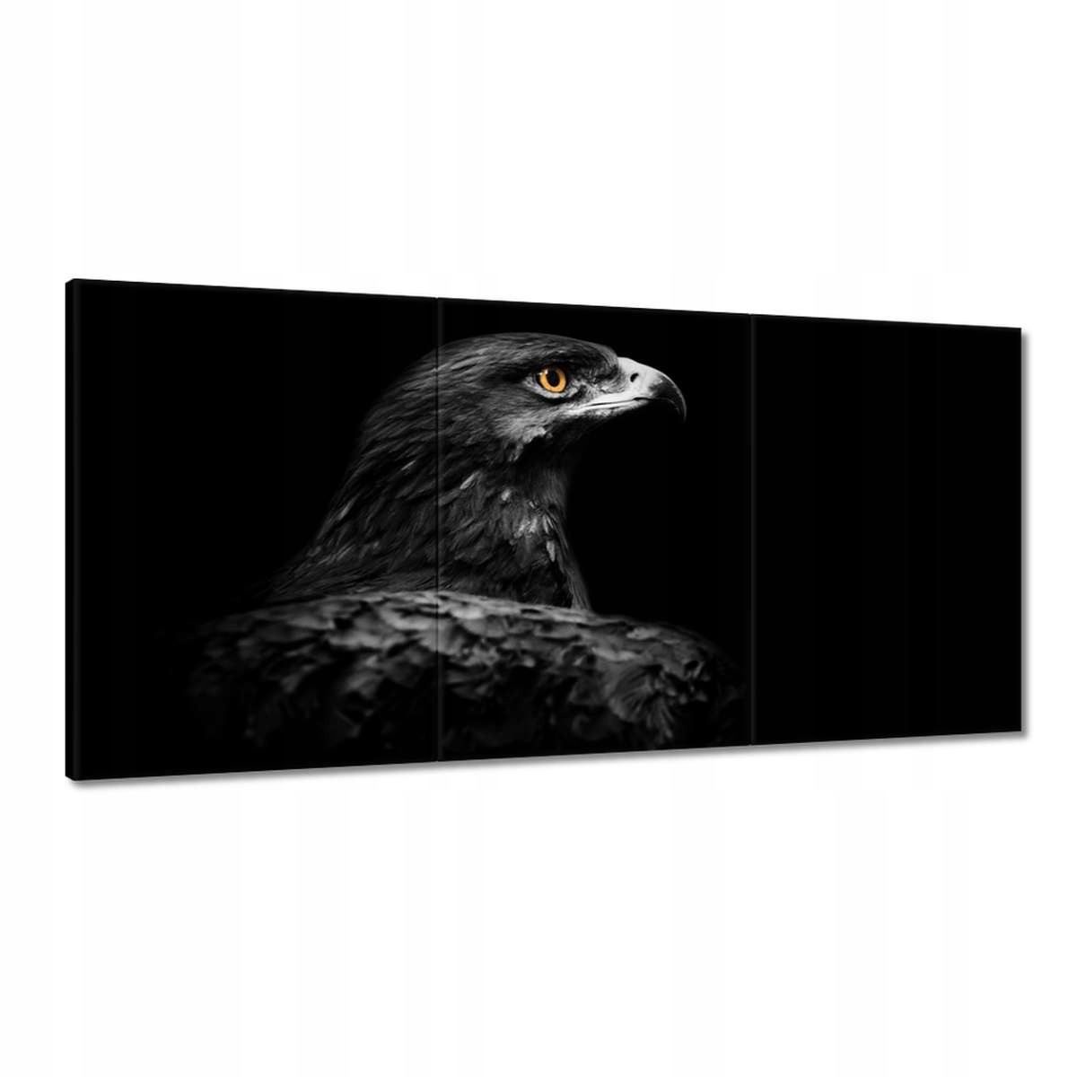 Obrazy 180x90 Orol na čiernom pozadí
