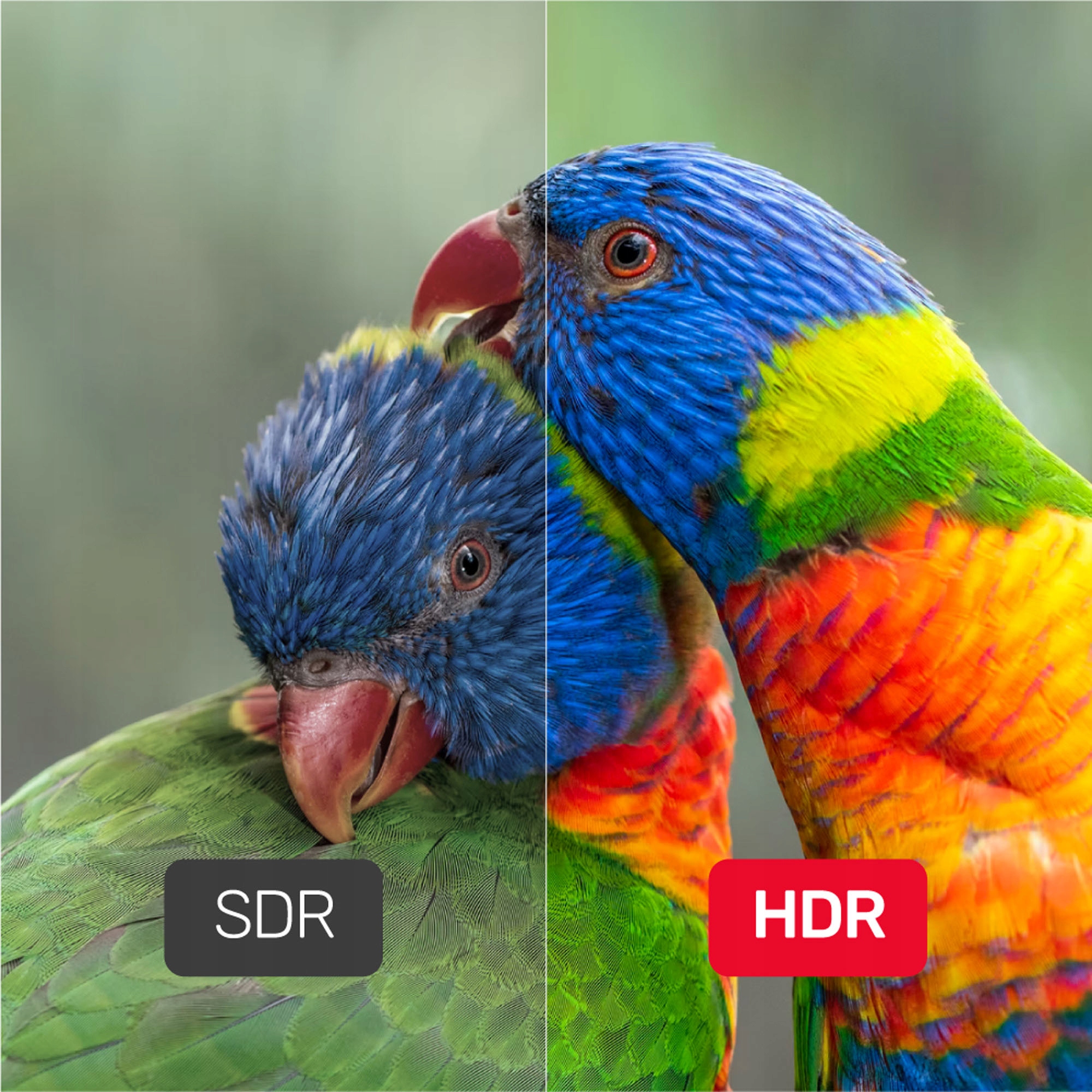 Kabel przewód DisplayPort 1.4 8K @ 60Hz Unitek 2m Długość kabla 2 m