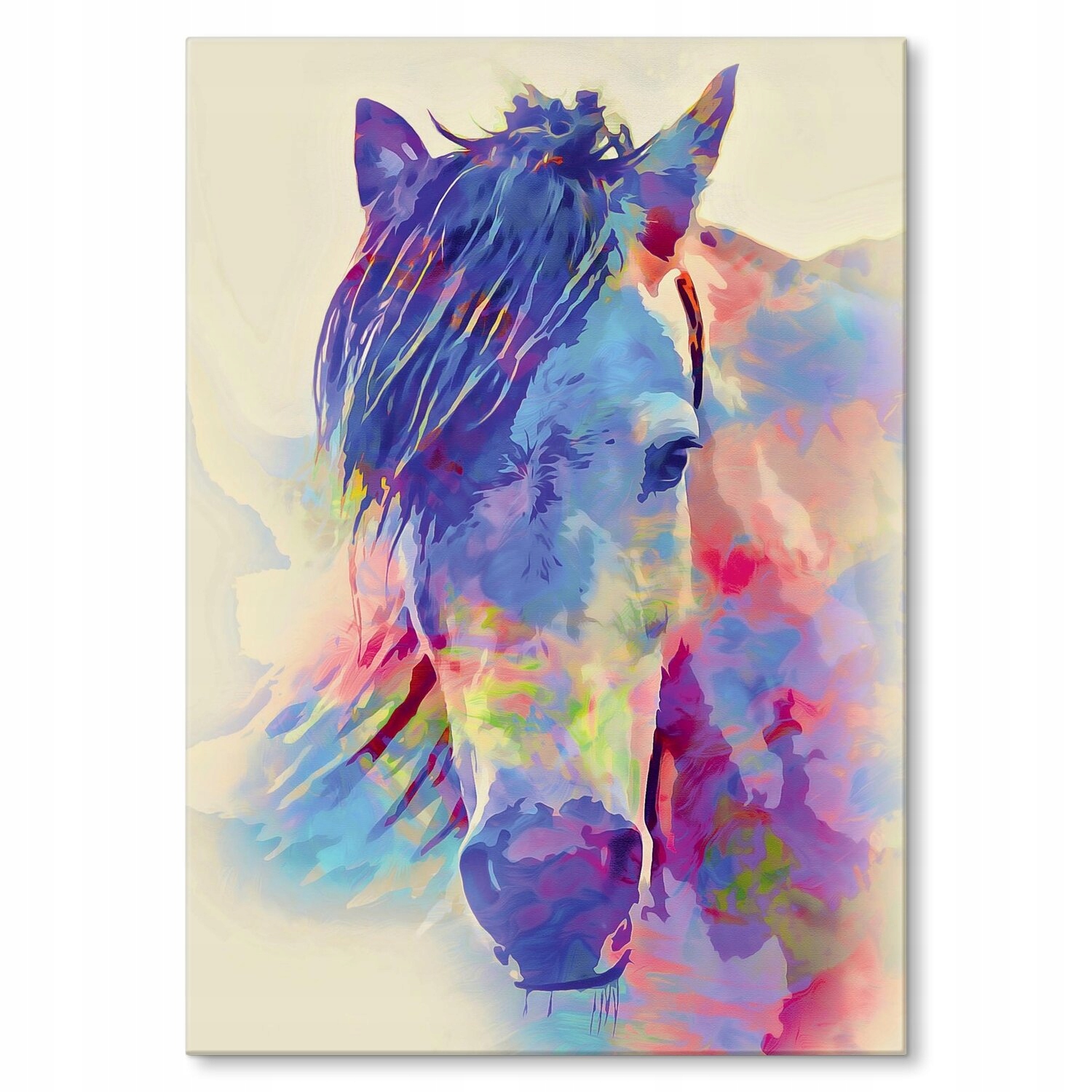 Kovový plakát Barevný kůň Dárek 22 x 31 cm