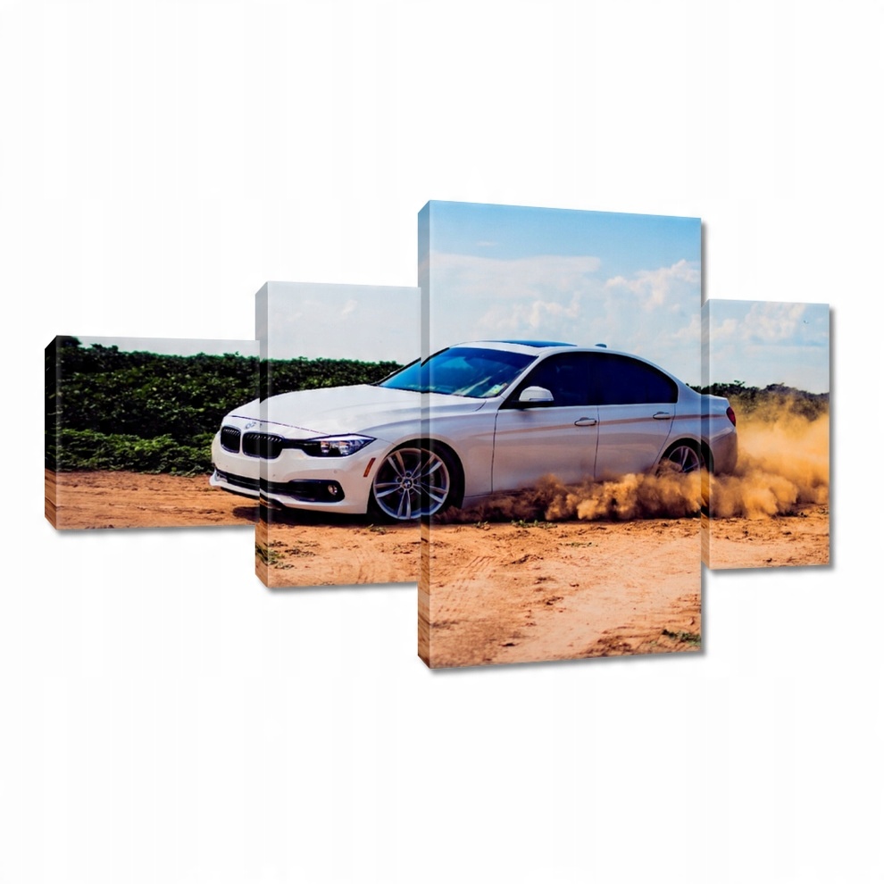 

Obrazy 130x80 Drift Bmw