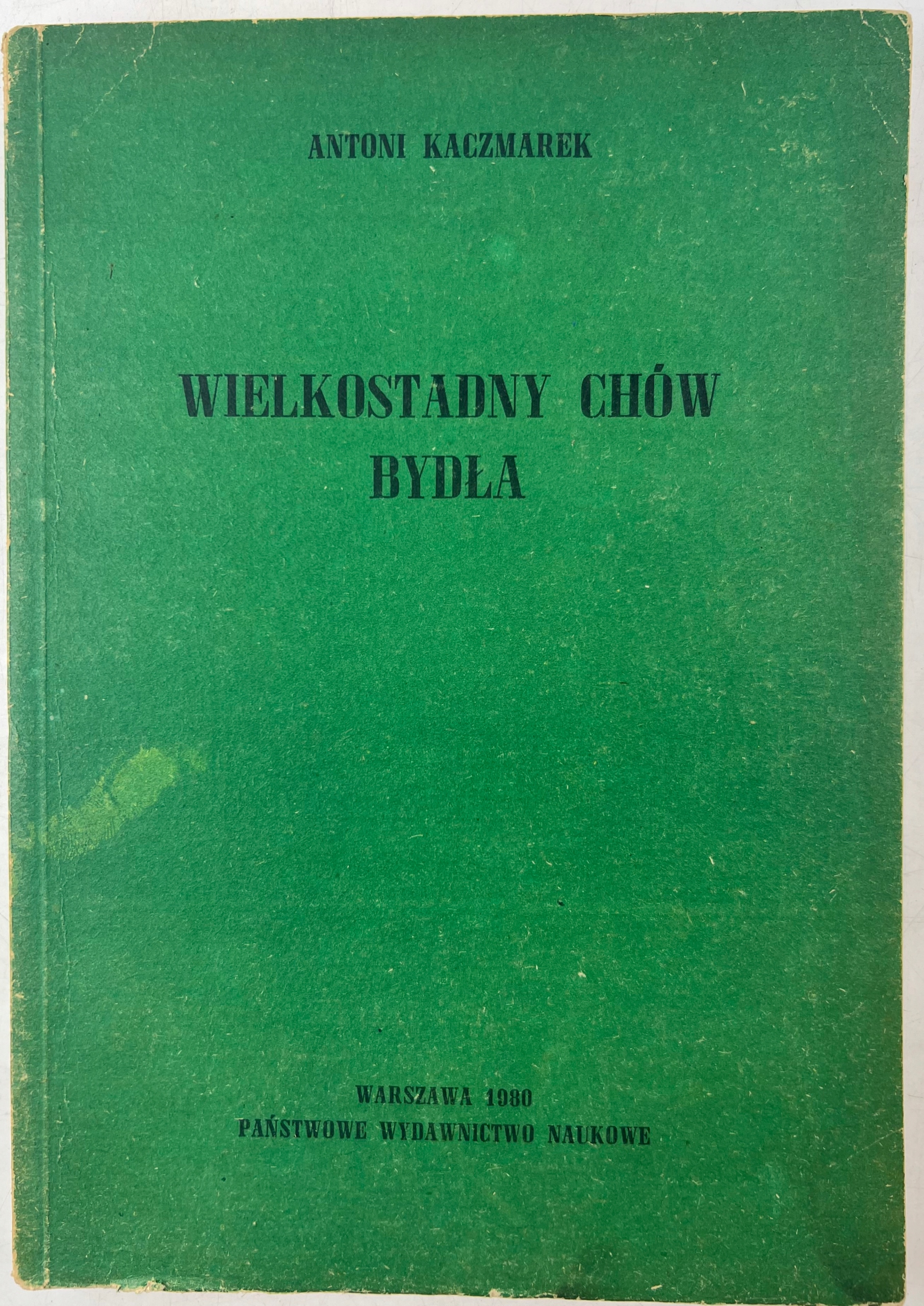 Wielkostadny Chów Bydła Antoni Kaczmarek