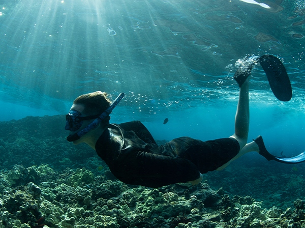 Rękawiczki Bare Exowear, rozmiar: XS Rozmiar XS