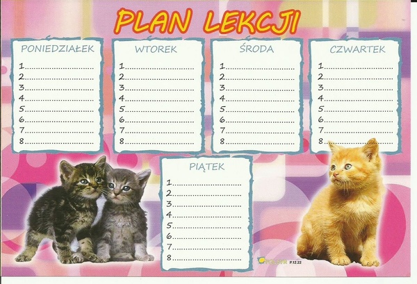 plan lekcji 25szt mix samoprzylepny — 3