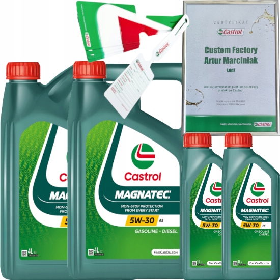 CASTROL MAGNATEC 5W30 A5 10L FORD WSS-M2C913-C WSS-M2C913-D + ZAWIESZKA