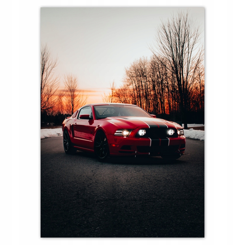

Naklejki 50x70 Ford Mustang